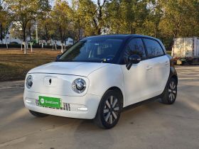 欧拉黑猫 2021款 351km 标准型