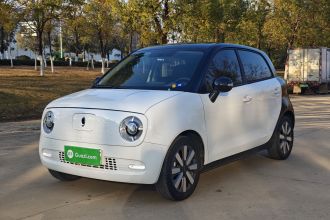 欧拉黑猫 2021款 351km 标准型