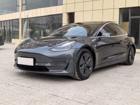 特斯拉 Model 3 2020款 长续航后轮驱动版