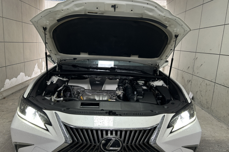 雷克萨斯ES 2018款 200 卓越版 国V中控内饰7008