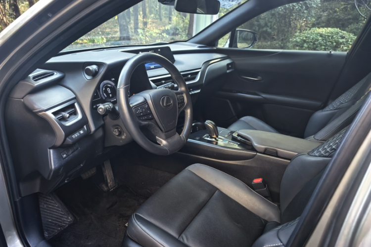 雷克萨斯UX新能源 2020款 300e 纯·悦版中控内饰7006