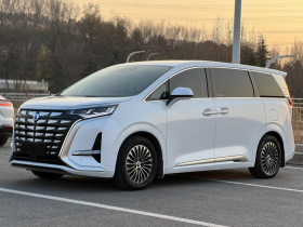 腾势D9 2022款 DM-i 970 四驱旗舰型