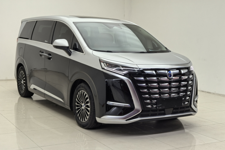 腾势D9 2024款 DM-i 980 四驱尊贵型车身外观6004