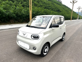 五菱汽车 宏光MINIEV 2024款 第三代 215km 青春版