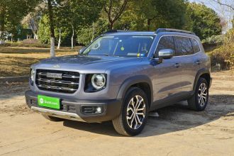 哈弗大狗 2021款 1.5T DCT两驱边牧版