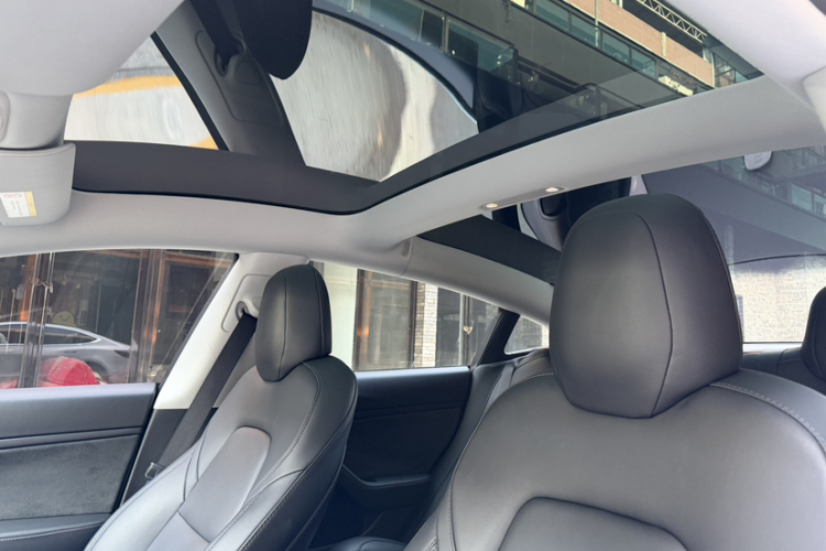 特斯拉 Model 3(进口) 2019款 长续航全轮驱动版中控内饰7002