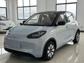 五菱汽车 五菱缤果 2025款 333km 悦享款