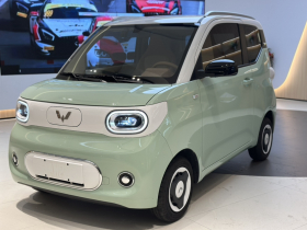 五菱汽车 宏光MINIEV 2024款 第三代 170km