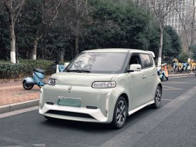 欧拉白猫 2020款 360km 豪华型