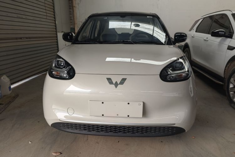 五菱汽车 五菱缤果 2023款 203km 轻享款车身外观6007