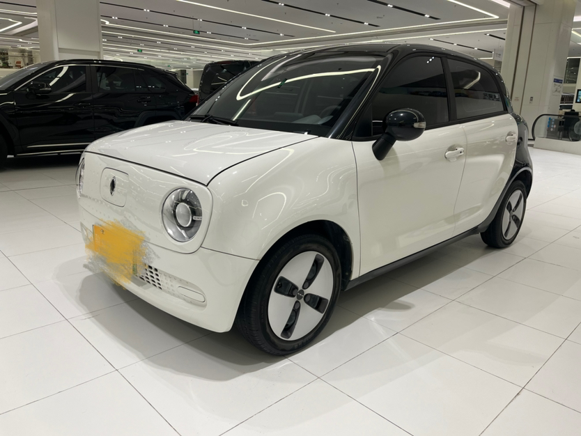 欧拉黑猫 2021款 301km 萌宠版