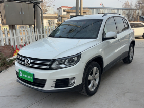 大众 途观 2013款 1.8TSI 自动两驱舒适版