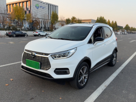 比亚迪 元新能源 2019款 EV535 高能领航版