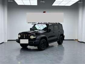 坦克300 2021款 越野版 2.0T 征服者