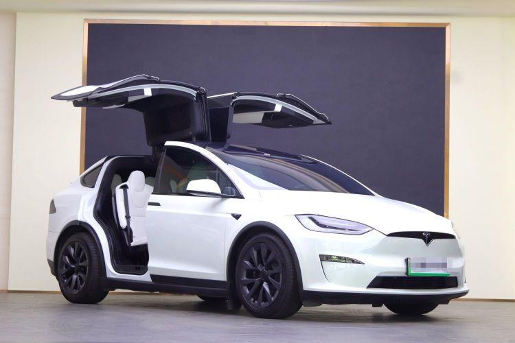 特斯拉 Model X 2023款 双电机全轮驱动版车身外观6003