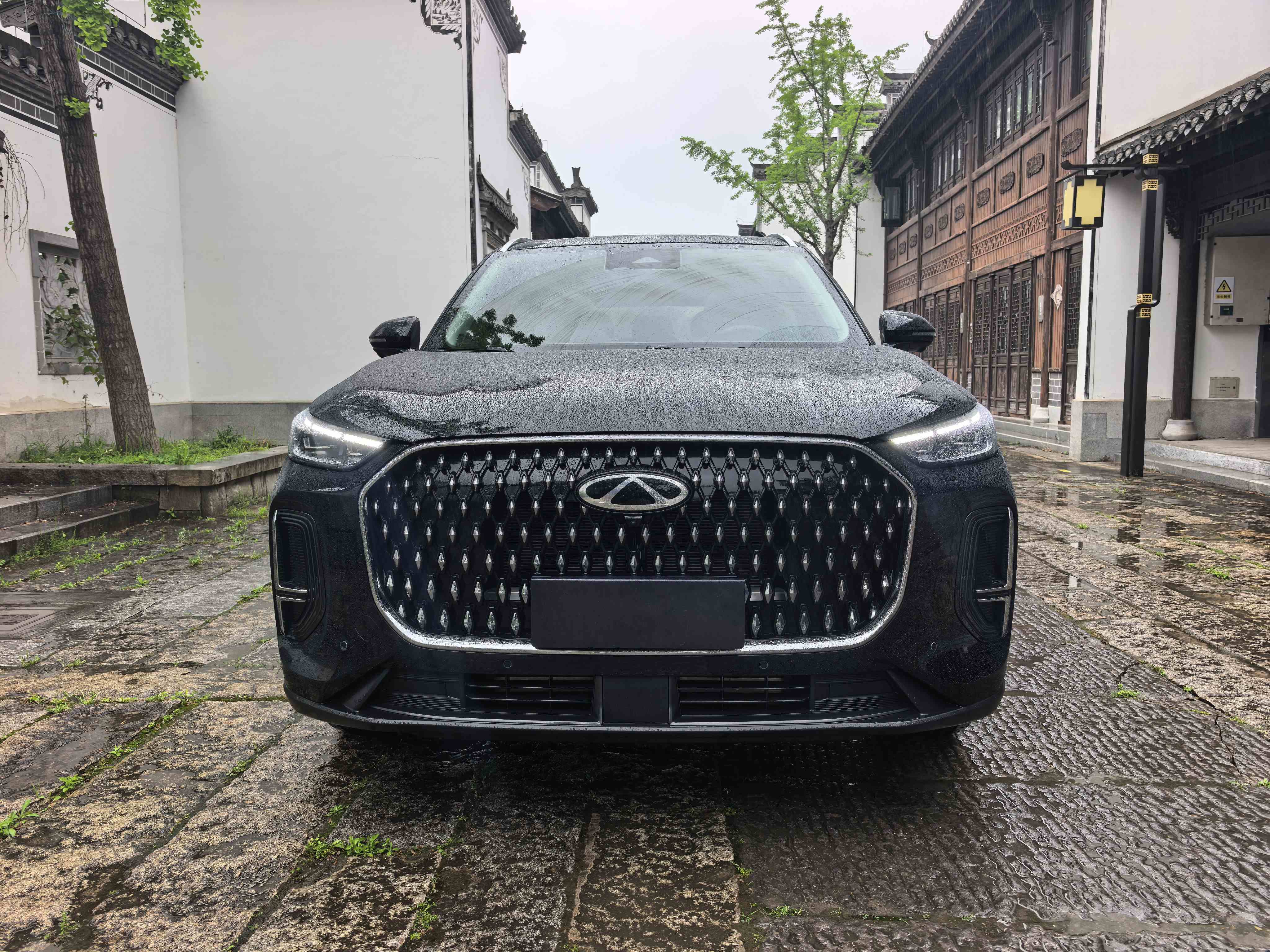 奇瑞 瑞虎8 L 2024款 2.0T 两驱尊贵版 5座(2)