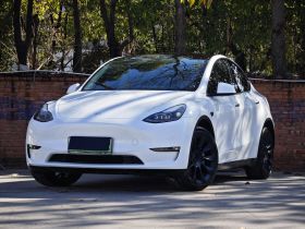 特斯拉 Model Y 2022款 改款 长续航全轮驱动版