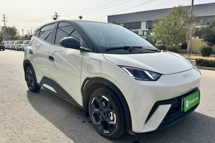 比亚迪 海鸥 2025款 305km 自由版车身外观6004