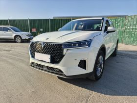 启辰星 2021款 260T 自动星尚版