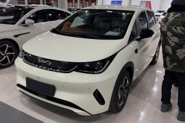 比亚迪 海豚 2025款 智驾版 420km 自由版