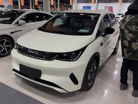 比亚迪 海豚 2025款 智驾版 420km 自由版