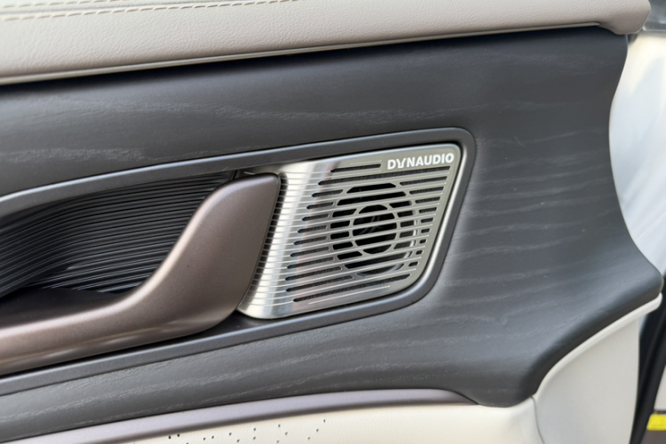 腾势D9 2022款 DM-i 970 四驱尊荣型局部细节9008