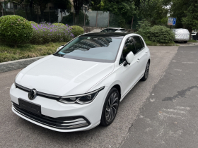 大众 高尔夫 2023款 280TSI DSG Pro