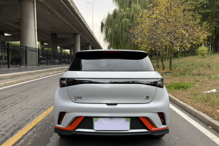 比亚迪 海豚 2021款 401km 骑士版车身外观6004