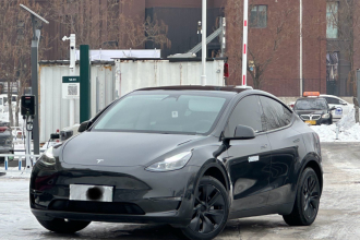 特斯拉 Model Y 2023款 长续航全轮驱动版