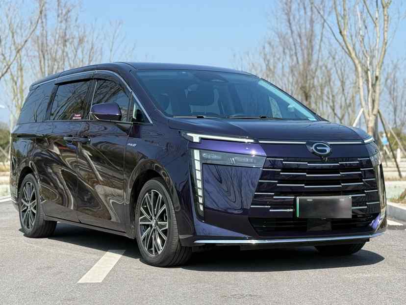 广汽传祺 传祺E8新能源 2024款 150km MAX(5)