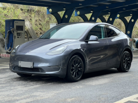 特斯拉 Model Y 2021款 长续航全轮驱动版