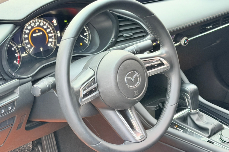 马自达3 昂克赛拉 2020款 2.0L 自动质雅版局部细节13