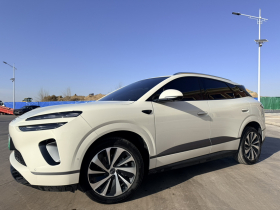 比亚迪 海狮06新能源 2025款 EV 520领航版