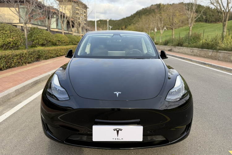 特斯拉 Model Y 2022款 后轮驱动版车身外观6008