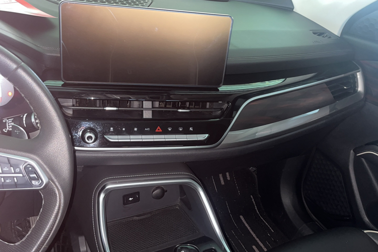 哈弗H6 2021款 国潮版 1.5T 自动冠军版局部细节16