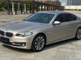 宝马5系(进口) 2014款 520i 典雅型