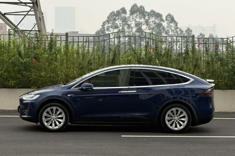特斯拉 Model X 2019款 长续航版车身外观6006