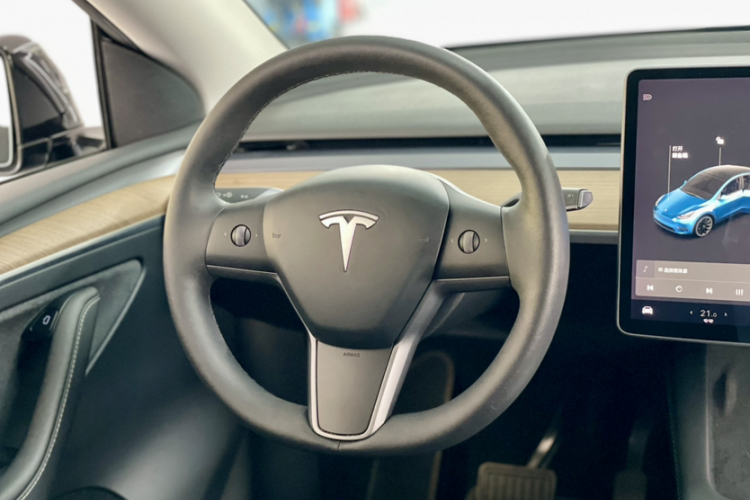 特斯拉 Model Y 2021款 长续航全轮驱动版 3D7局部细节13