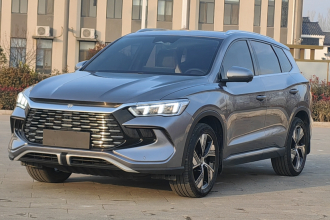 比亚迪 宋Pro新能源 2023款 冠军版 DM-i 110KM卓越型