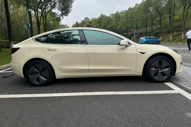 特斯拉 Model 3 2019款 标准续航后驱升级版车身外观6006