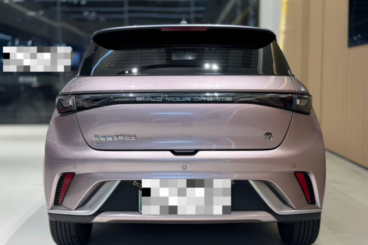 比亚迪 海豚 2021款 405km 时尚版车身外观6005