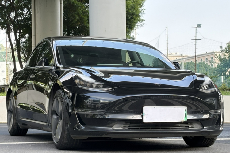 特斯拉 Model 3(进口) 2019款 长续航后驱版车身外观6006