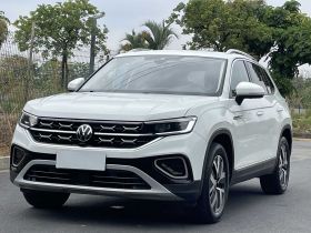 大众 途岳 2023款 300TSI 两驱皎月版