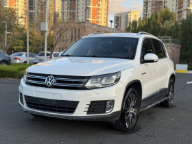 大众 途观 2016款 300TSI 自动四驱豪华版