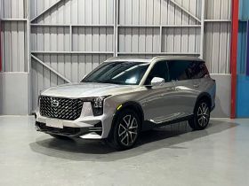 广汽传祺 传祺GS8 2022款 领航系列 2.0TGDI 四驱豪华智联版（七座）