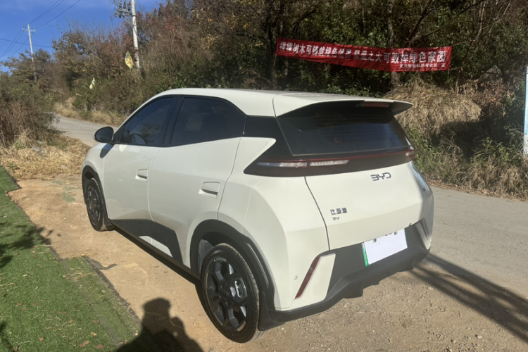 比亚迪 海鸥 2025款 305km 自由版车身外观6007