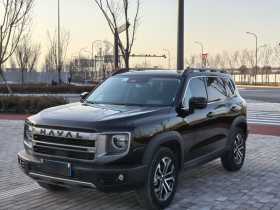 哈弗大狗 2024款 1.5T DCT边牧版