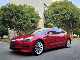 特斯拉 Model 3 2019款 标准续航后驱升级版