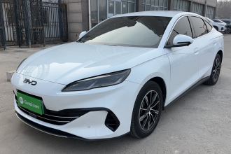 比亚迪 海豹06新能源 2024款 DM-i 80KM尊贵型