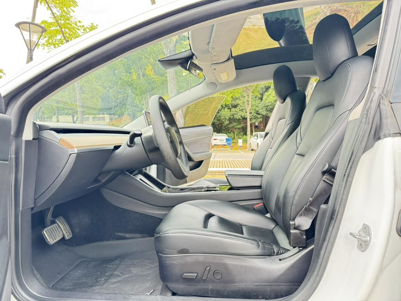 特斯拉 Model 3 2019款 标准续航后驱升级版